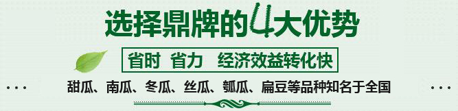 購買蔬菜種子，選擇鼎牌的四大優勢